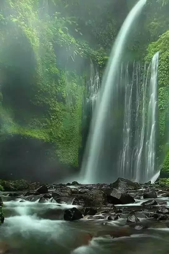 88影视