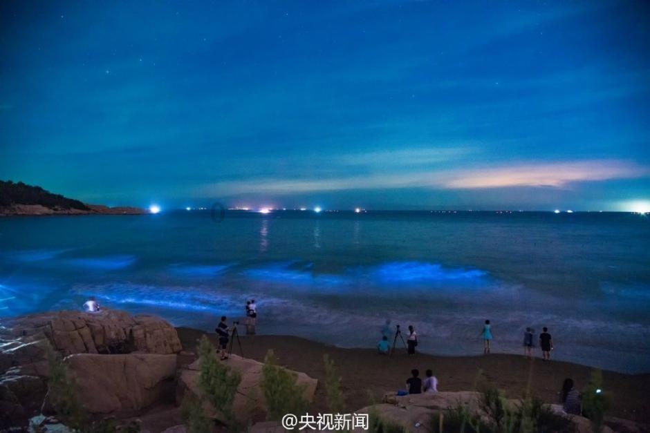 “代表通道”“厅长通道”来了!看看他们谈了哪些你关心的问题?